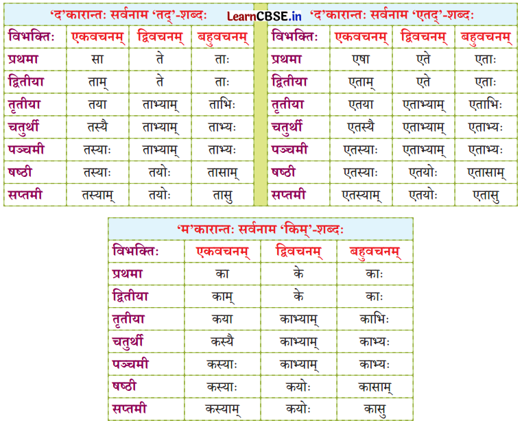 NCERT Class 7 Sanskrit Chapter 14 परिशिष्‍टम् १ शब्दरूपाणि 45
