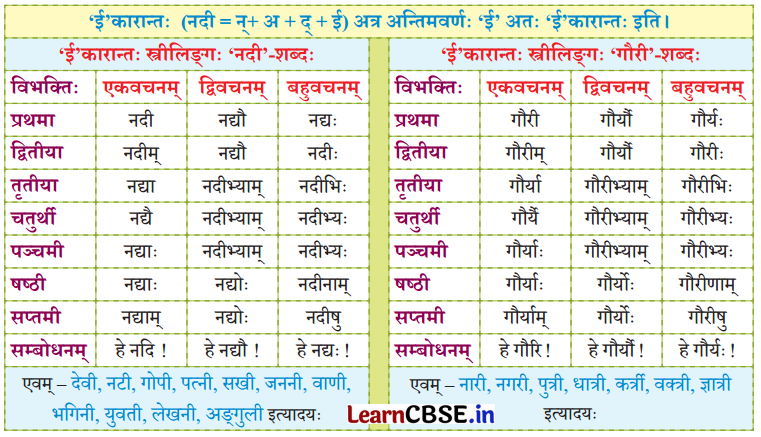 NCERT Class 7 Sanskrit Chapter 14 परिशिष्‍टम् १ शब्दरूपाणि 47