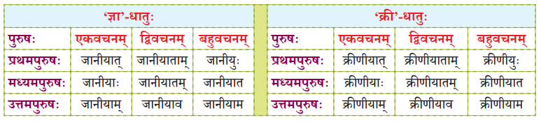 NCERT Class 7 Sanskrit Chapter 15 परिशिष्‍टम् २ धातुरूपाणि 10