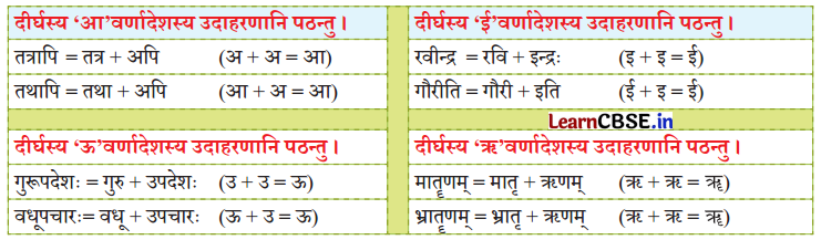 NCERT Class 7 Sanskrit Chapter 15 परिशिष्‍टम् २ धातुरूपाणि 11