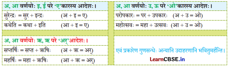NCERT Class 7 Sanskrit Chapter 15 परिशिष्‍टम् २ धातुरूपाणि 12