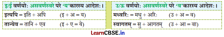 NCERT Class 7 Sanskrit Chapter 15 परिशिष्‍टम् २ धातुरूपाणि 14