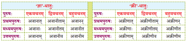 NCERT Class 7 Sanskrit Chapter 15 परिशिष्‍टम् २ धातुरूपाणि 6