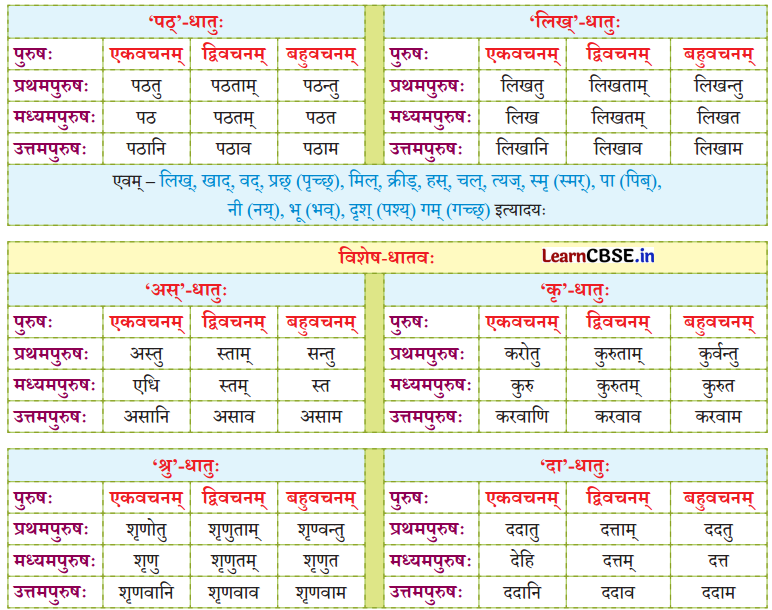 NCERT Class 7 Sanskrit Chapter 15 परिशिष्‍टम् २ धातुरूपाणि 7