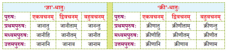 NCERT Class 7 Sanskrit Chapter 15 परिशिष्‍टम् २ धातुरूपाणि 8