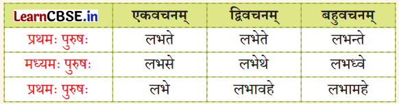 NCERT Class 7 Sanskrit Chapter 4 Question Answer Solutions न लभ्यते चेत् आम्लं द्राक्षाफलम् 2