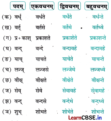 NCERT Class 7 Sanskrit Chapter 4 Question Answer Solutions न लभ्यते चेत् आम्लं द्राक्षाफलम् 7