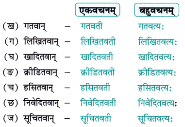 NCERT Class 7 Sanskrit Chapter 5 Question Answer Solutions सेवा हि परमो धर्मः 2