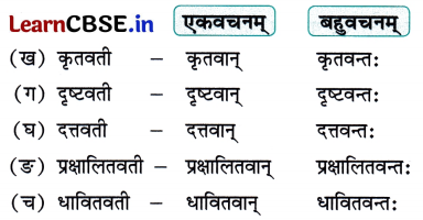 NCERT Class 7 Sanskrit Chapter 5 Question Answer Solutions सेवा हि परमो धर्मः 4