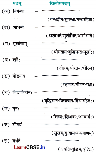 NCERT Class 7 Sanskrit Chapter 6 Question Answer Solutions क्रीडाम वयं श्लोकान्त्याक्षरीम् 8