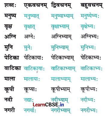 NCERT Class 7 Sanskrit Chapter 9 Question Answer Solutions अन्नाद् भवन्ति भूतानि 2