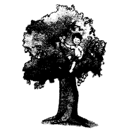 NCERT Solutions for Class 1 English Chapter 11 If I Were an Apple Reading is Fun Q1