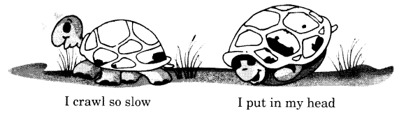 NCERT Solutions for Class 1 English Chapter 16 A Little Turtle Lets Share Q1