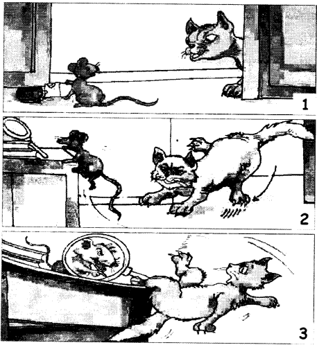 NCERT Solutions for Class 1 English Chapter 17 The Tiger and the Mosquito Lets Do Q3