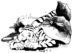 NCERT Solutions for Class 1 English Chapter 17 The Tiger and the Mosquito Lets Write Q1