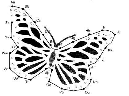 NCERT Solutions for Class 1 English Chapter 19 Anandi’s Rainbow Lets Do Q2