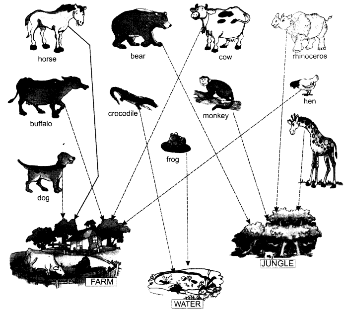 NCERT Solutions for Class 1 English Chapter 2 Three Little Pigs Lets Draw Q2