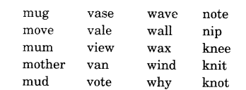 NCERT Solutions for Class 1 English Chapter 20 Flying-Man Say Aloud Q1