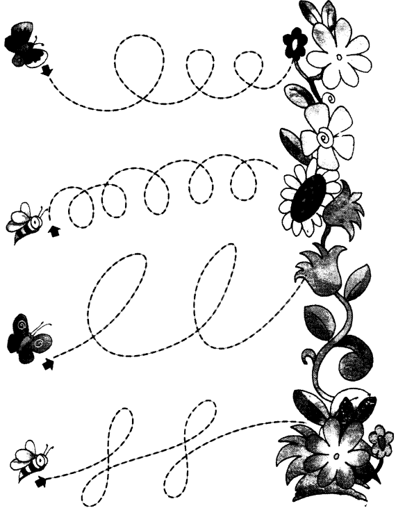 NCERT Solutions for Class 1 English Chapter 3 After a Bath Lets Draw Q2