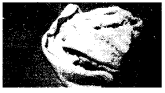 NCERT Solutions for Class 1 English Chapter 3 After a Bath Lets Share Q1.1