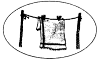 NCERT Solutions for Class 1 English Chapter 3 After a Bath Lets Share Q1.2