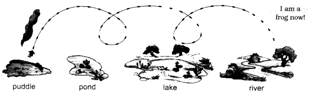 NCERT Solutions for Class 1 English Chapter 4 The Bubble, the Straw, and the Shoe Lets Draw Q1