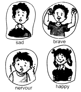 NCERT Solutions for Class 1 English Chapter 5 One Little Kitten Lets Share Q1