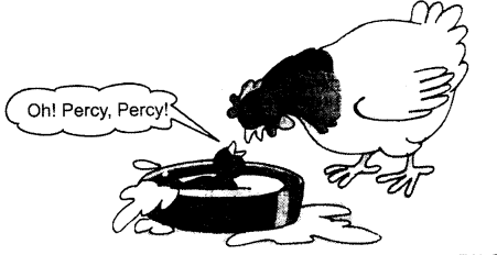NCERT Solutions for Class 1 English Chapter 6 Lalu and Peelu Lets Act Q1.2