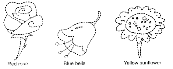 NCERT Solutions for Class 1 English Chapter 6 Lalu and Peelu Lets Draw Q1