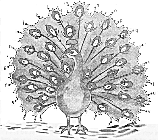 NCERT Solutions for Class 1 English Chapter 7 Once I Saw a Little Bird Lets Do Q1