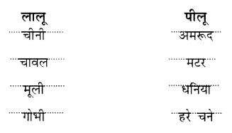 NCERT Solutions for Class 1 Hindi Chapter 16 लालू और पीलू Q2