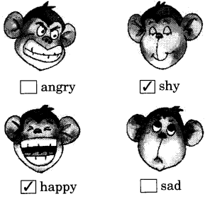 NCERT Solutions for Class 2 English Chapter 1 First Day at School Lets Talk Q1