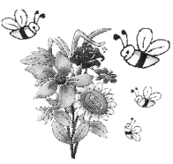 NCERT Solutions for Class 2 English Chapter 10 Zoo Manners Lets Write A Visit to My Village Q2