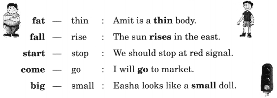 NCERT Solutions for Class 2 English Chapter 11 Funny Bunny Lets Write Q2