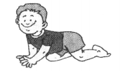 NCERT Solutions for Class 2 English Chapter 14 On My Blackboard I can Draw Fun Time Q1