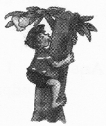NCERT Solutions for Class 2 English Chapter 18 Granny Granny Please Comb My Hair Word Building Q2.2