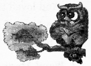 NCERT Solutions for Class 2 English Chapter 20 Strange Talk Lets Write Q5