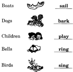 NCERT Solutions for Class 2 English Chapter 3 Padding-Pool Lets Write Q1