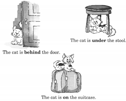 NCERT Solutions for Class 2 English Chapter 9 Storm in the Garden Lets Write Q1.1