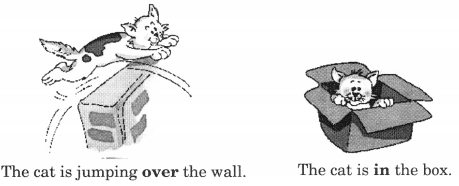 NCERT Solutions for Class 2 English Chapter 9 Storm in the Garden Lets Write Q1