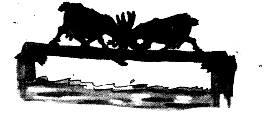 NCERT Solutions for Class 3 English Unit 10 The Ship Of The Desert Lets Write Q1.1