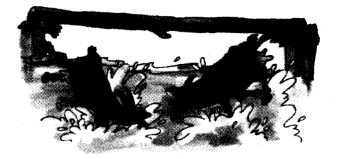 NCERT Solutions for Class 3 English Unit 10 The Ship Of The Desert Lets Write Q1.2