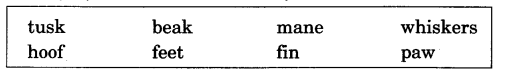 NCERT Solutions for Class 3 English Unit 10 The Ship Of The Desert Word Building Q2
