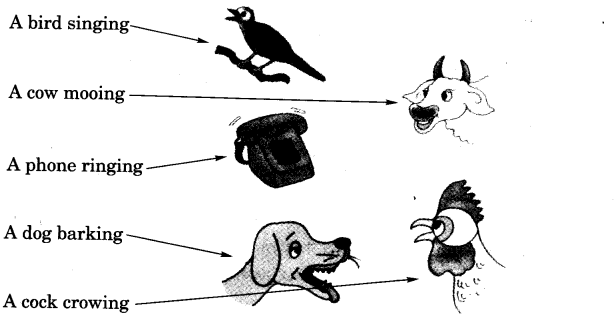 NCERT Solutions for Class 3 English Unit 4 Sea Song Read The Following