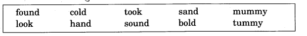NCERT Solutions for Class 3 English Unit 4 Sea Song Word Building 1