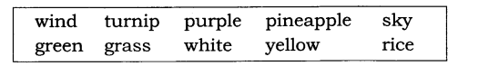 NCERT Solutions for Class 3 English Unit 5 The Balloon Man Q2
