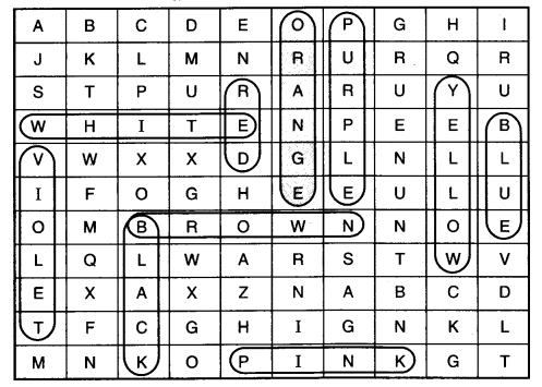 NCERT Solutions for Class 3 English Unit 5 The Balloon Man Q3