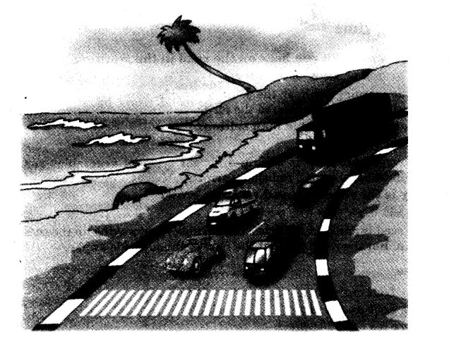 NCERT Solutions for Class 3 English Unit 6 The Story Of The Road Team Time Q1