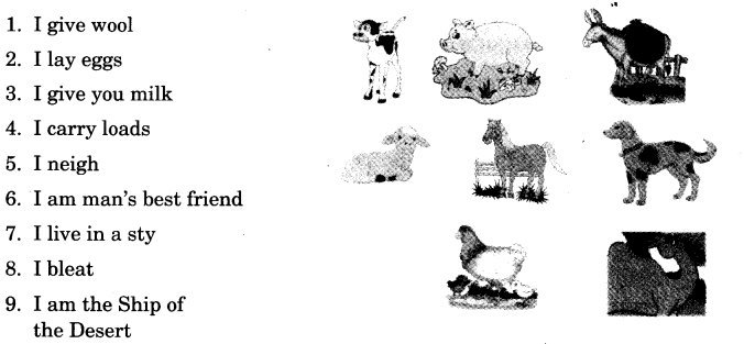 NCERT Solutions for Class 3 English Unit 7 Puppy and I Little Tiger, Big Tiger Team Time Q1