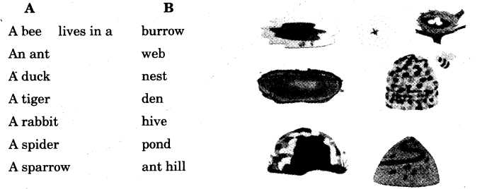 NCERT Solutions for Class 3 English Unit 7 Puppy and I Little Tiger, Big Tiger Word Building Q3